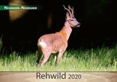 Rehwild 2020, Diverse