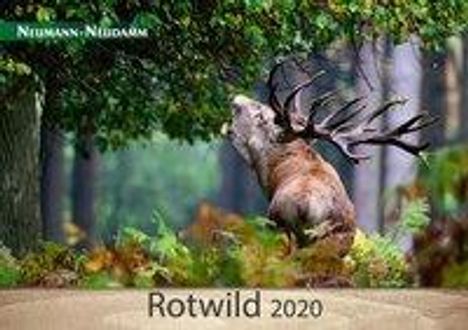 Rotwild 2020, Diverse