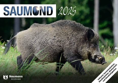 Saumond 2025, Kalender