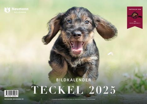 Teckel 2025, Kalender