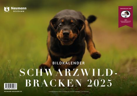 Schwarzwildbracken 2025, Kalender