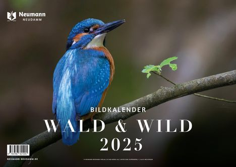 Wald &amp; Wild 2025, Kalender