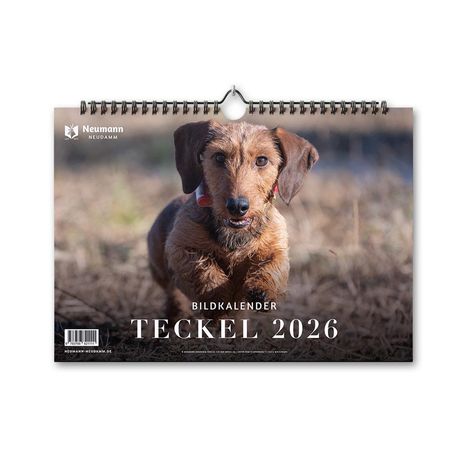 Teckel 2026, Kalender