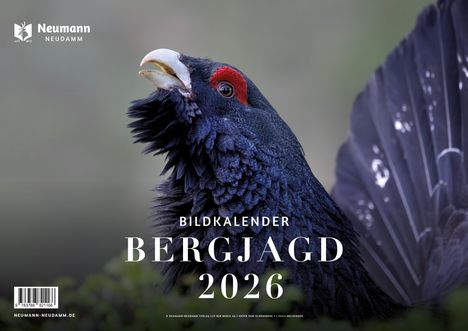 Bergjagd 2026, Kalender