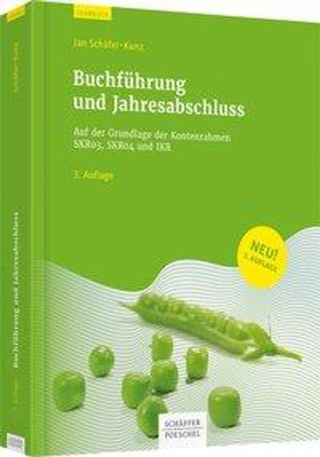 Jan Schäfer-Kunz: Buchführung und Jahresabschluss, Buch