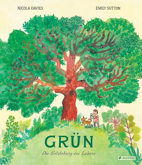 Nicola Davies: Grün, Buch