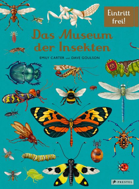 Dave Goulson: Das Museum der Insekten, Buch