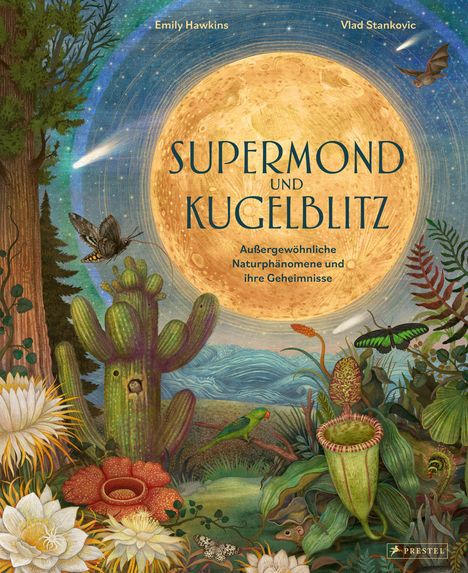 Emily Hawkins: Supermond und Kugelblitz, Buch