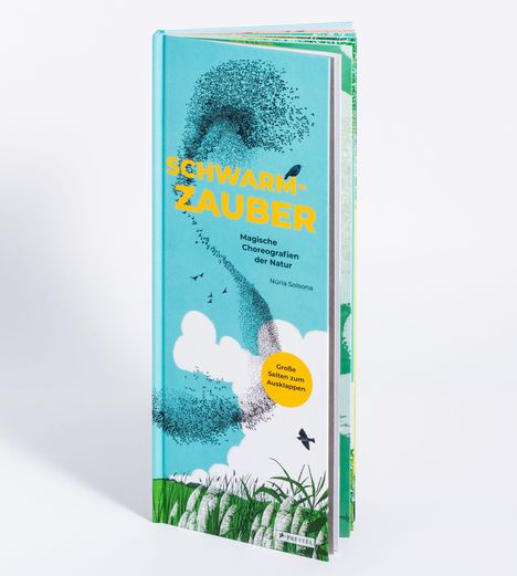 Núria Solsona: Schwarmzauber: Magische Choreografien der Natur, Buch