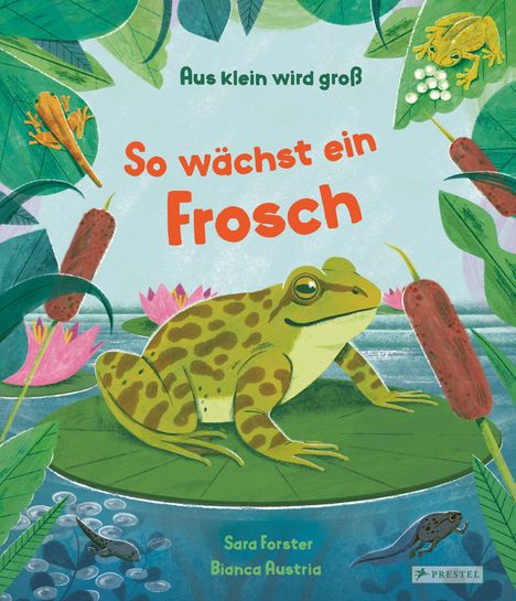 Sara Forster: Aus klein wird groß. So wächst ein Frosch, Buch