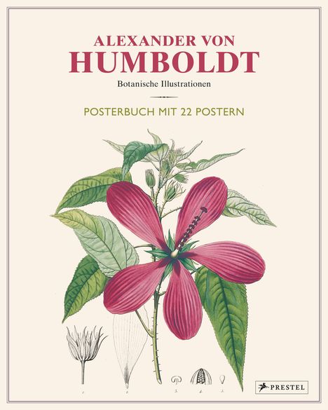 Otfried Baume: Alexander von Humboldt: Botanische Illustrationen. Posterbuch mit 22 Postern, Buch