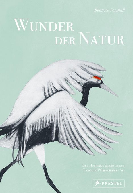 Beatrice Forshall: Wunder der Natur, Buch