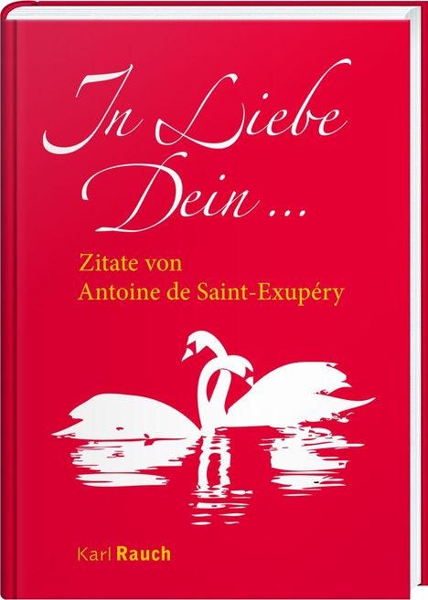 Antoine de Saint-Exupèry: In Liebe Dein, Buch