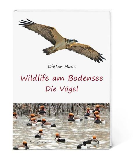 Haas Dieter: Wildlife am Bodensee, Buch