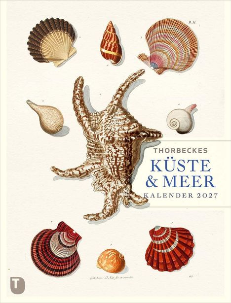"Thorbeckes Küste & Meer Kalender 2027"; Illustration von verschiedenen Muscheln und Schnecken in sanften Farben.