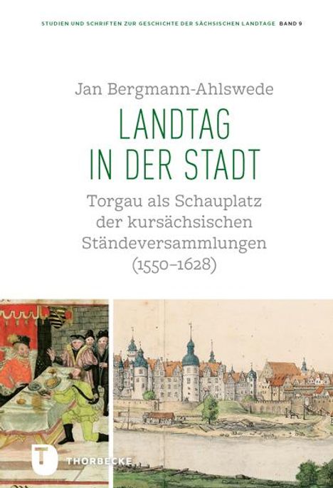 Jan Bergmann-Ahlswede: Landtag in der Stadt, Buch