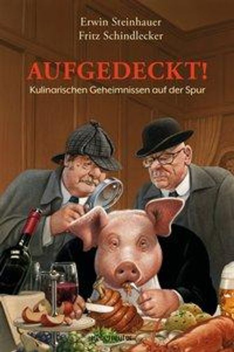 Erwin Steinhauer: Aufgedeckt!, Buch