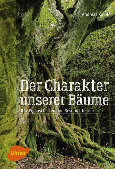 Andreas Roloff: Der Charakter unserer Bäume, Buch