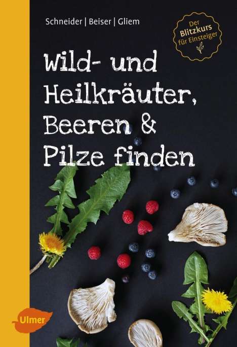 Christine Schneider: Wild- und Heilkräuter, Beeren und Pilze finden, Buch