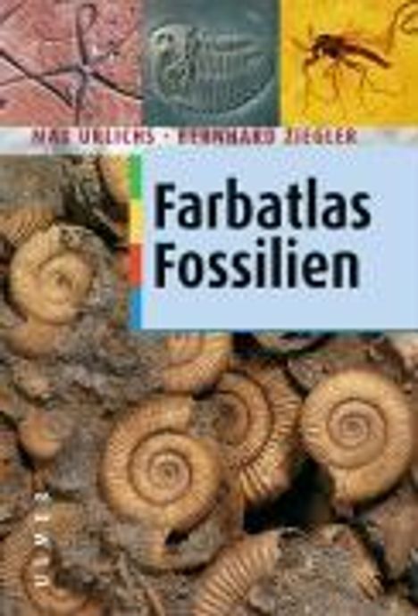 Max Urlichs: Farbatlas Fossilien, Buch