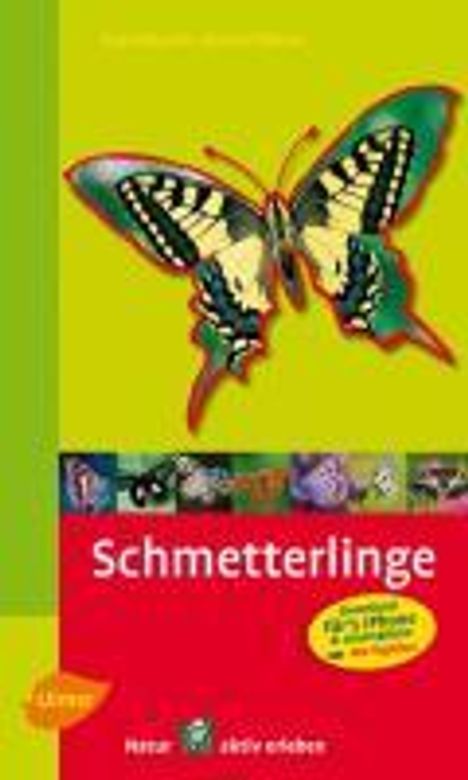 Heiko Bellmann: Bellmann, H: Steinbachs Naturführer Schmetterlinge, Buch