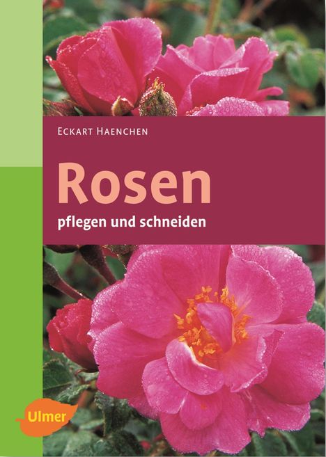 Eckart Haenchen: Haenchen, E: Rosen pflegen und schneiden, Buch