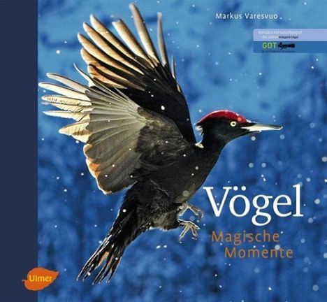 Markus Varesvuo: Vögel - Magische Momente, Buch