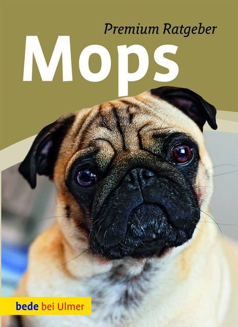 Annette Schmitt: Mops, Buch