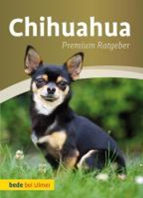 Annette Schmitt: Chihuahua, Buch