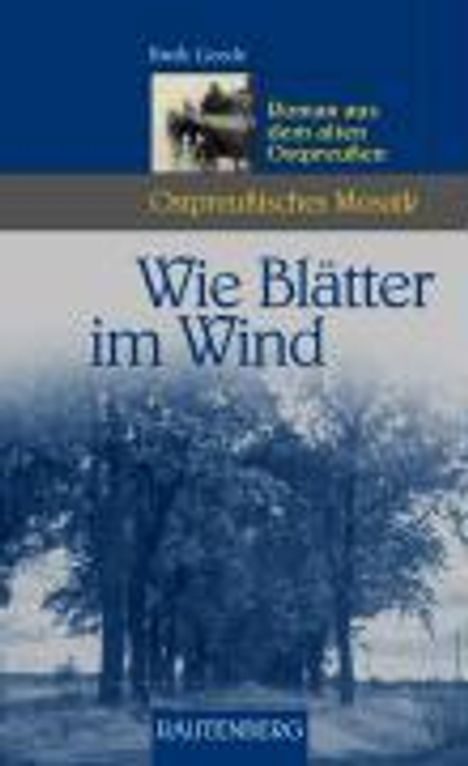 Ruth Geede: Geede, R: Wie Blätter im Wind, Buch