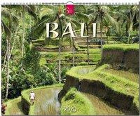Bali 2020, Diverse