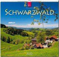Schwarzwald 2020, Diverse