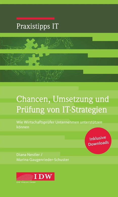 Diana Nestler: Chancen, Umsetzung und Prüfung von IT-Strategien, Buch