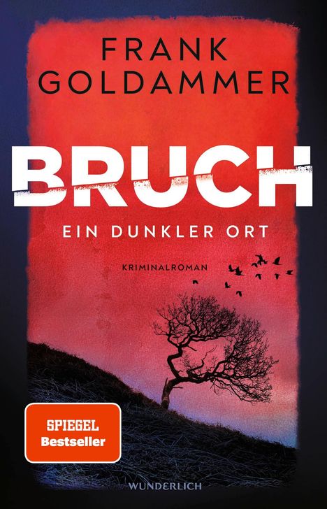 Frank Goldammer: Bruch: Ein dunkler Ort, Buch
