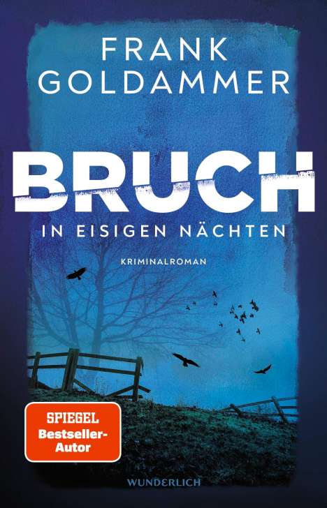 Frank Goldammer: Bruch: In eisigen Nächten, Buch