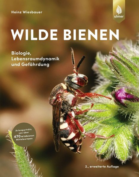 Heinz Wiesbauer: Wiesbauer, H: Wilde Bienen, Buch