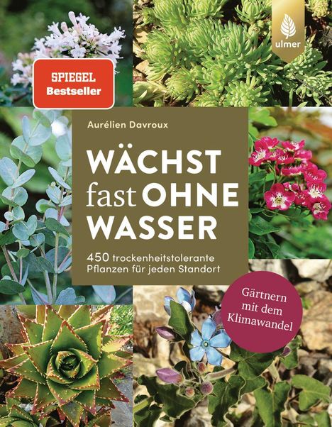 Aurélien Davroux: Wächst fast ohne Wasser, Buch