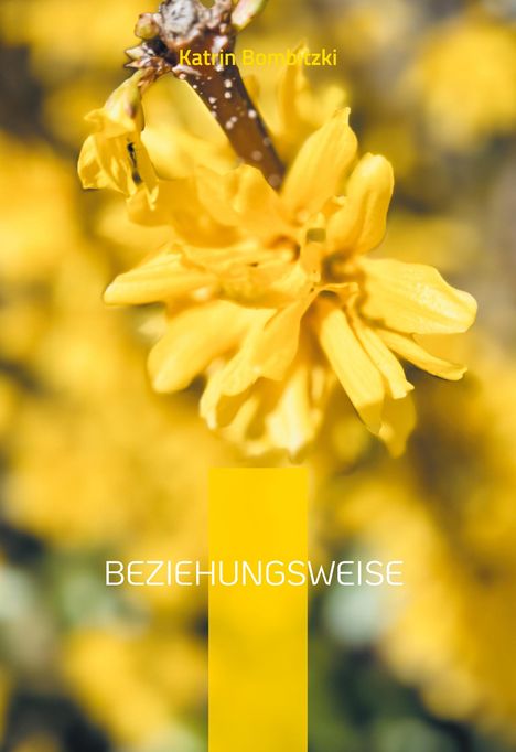 Katrin Bombitzki: Beziehungsweise, Buch