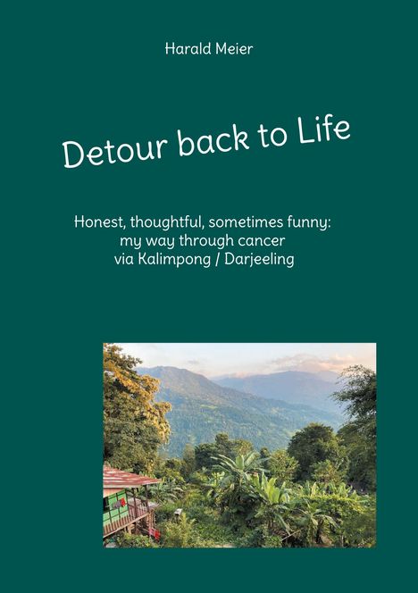 Harald Meier: Detour back to Life, Buch