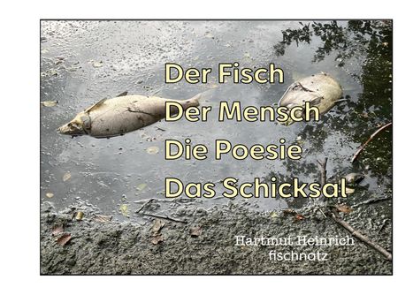 Hartmut Heinrich: Der Fisch - Der Mensch - Die Poesie - Das Schicksal, Buch