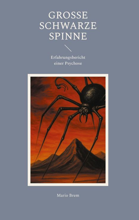 Mario Brem: Große Schwarze Spinne, Buch