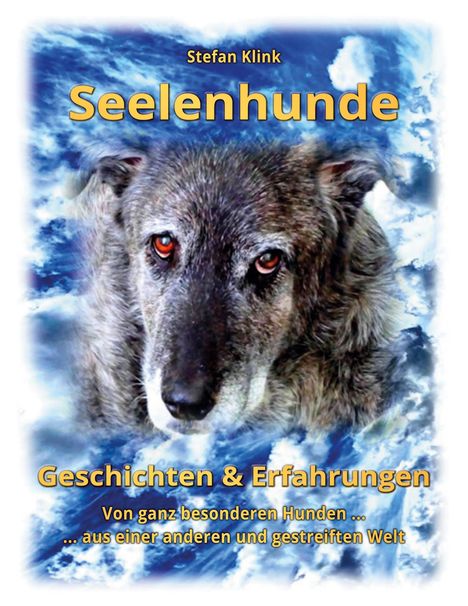 Stefan Klink: Seelenhunde, Buch