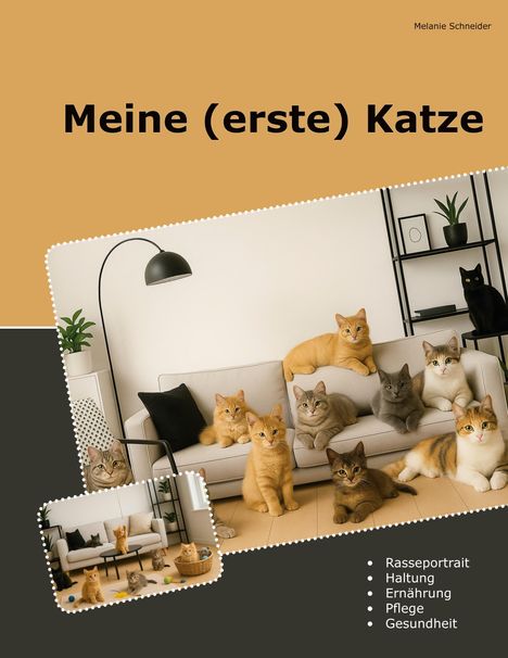 Melanie Schneider: Meine (erste) Katze, Buch