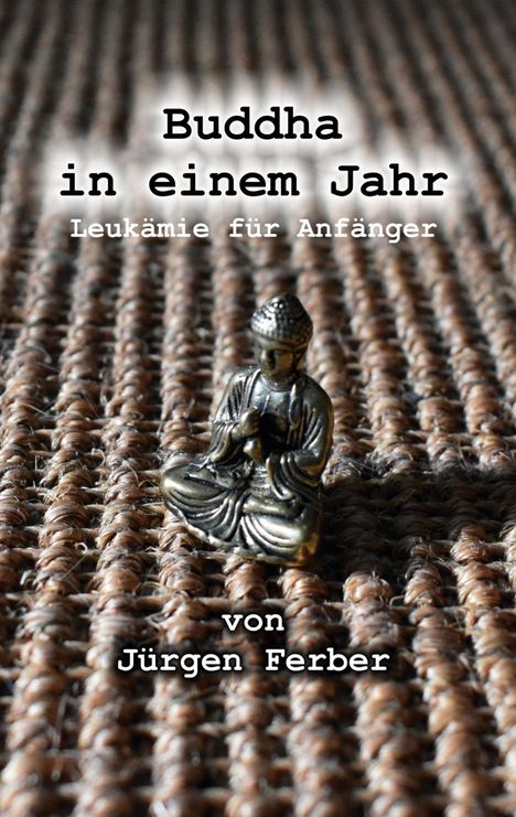 Jürgen Ferber: Buddha in einem Jahr, Buch