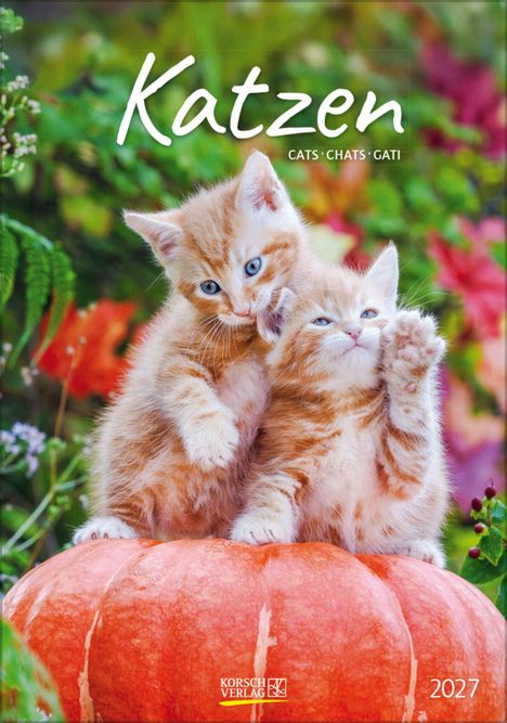 „Katzen, Cats, Chats, Gati“ steht groß oben. Zwei orange-weiße Kätzchen sitzen auf einem Kürbis in einem grünen Garten.