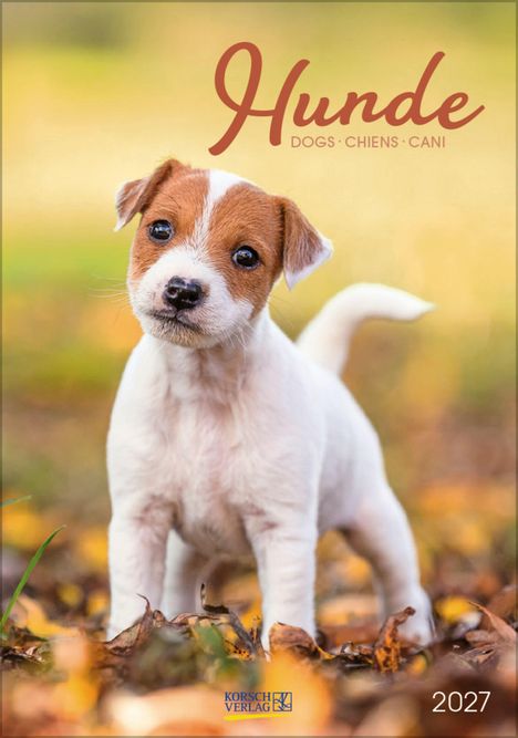 "Hunde 2027", darunter "Dogs · Chiens · Cani". Ein aufmerksamer Welpe steht draußen auf buntem Laub. Logo unten.