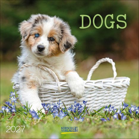 Text: "DOGS", "2027", "KORSCH VERLAG". Ein Welpe sitzt in einem weißen Korb auf einer Wiese mit blauen Blumen.