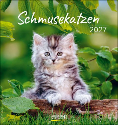 "Schmusekatzen 2027" steht über einem süßen, flauschigen grauen Kätzchen vor grünem Laub.