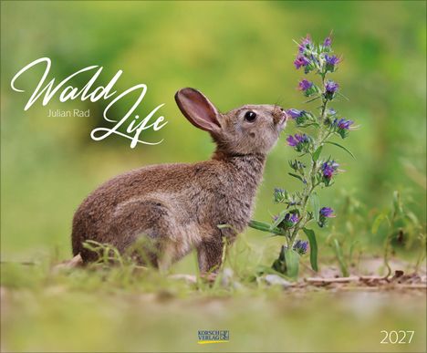 „Wald Life“ Julian Rad 2027. Hase schnuppert an lila Blumen, grüne Hintergrund, KORSCH VERLAG Logo.