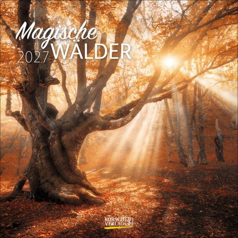"Magische Wälder 2027". Sonnenstrahlen durchdringen einen herbstlichen Wald mit alten, knorrigen Bäumen.